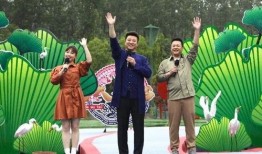 王先生深圳最新爆料视频,揭秘城市热点事件背后的真相