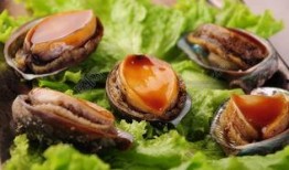 鲍鱼最新爆料图片大全集,高清图片大全集大揭秘